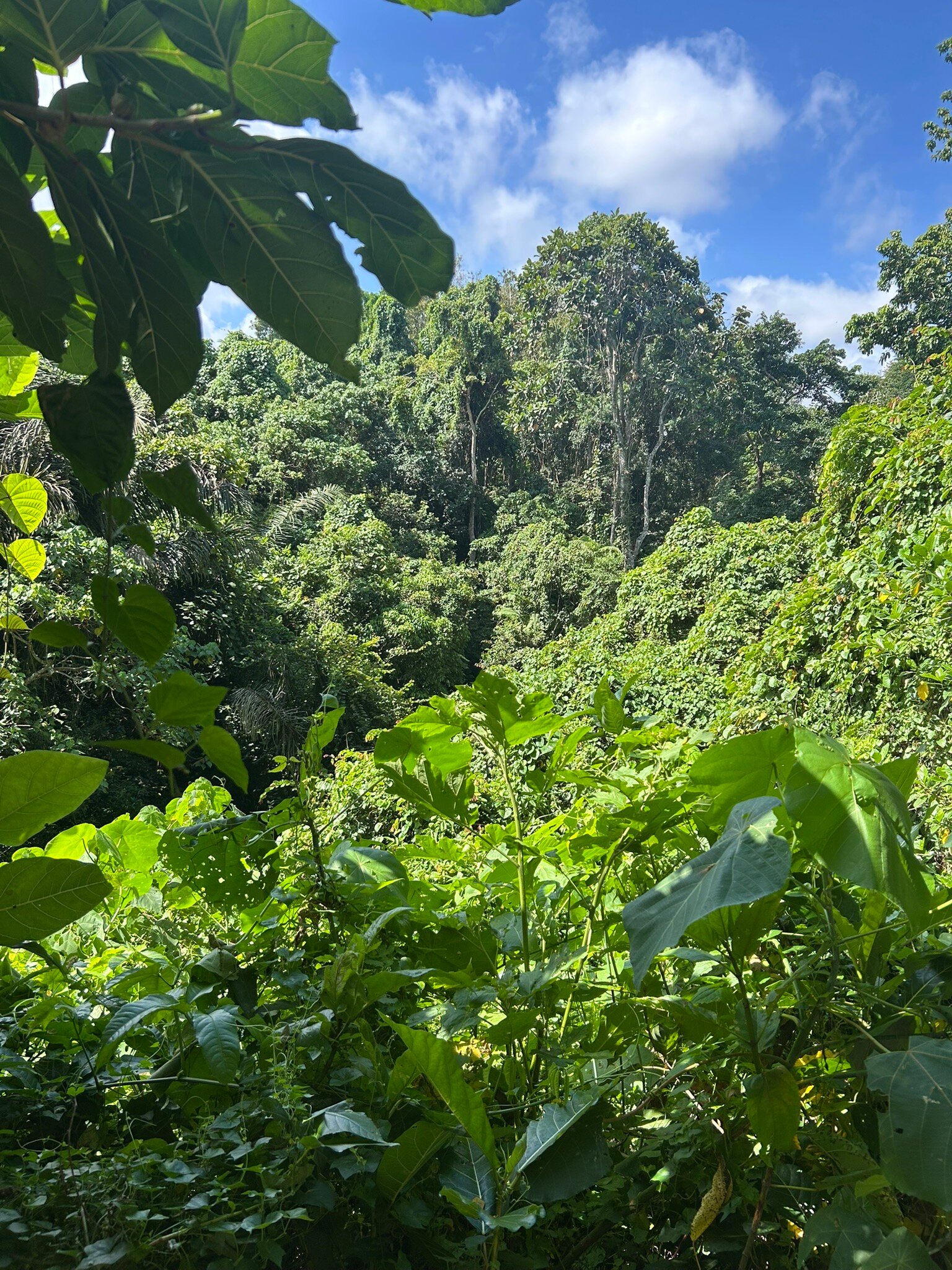 The Sebali Resort-官方