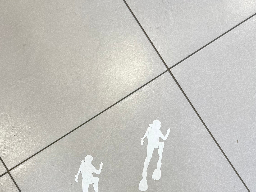 The Aquatic Centre-利马索尔必去景点