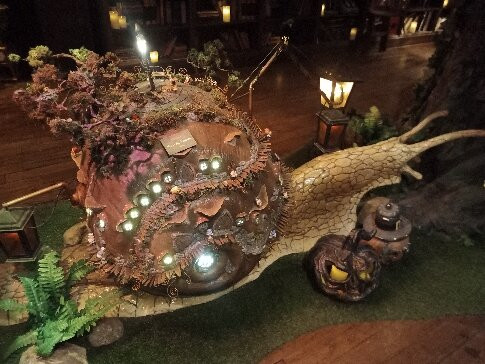 Steampunk Transylvania-克卢日-纳波卡必去景点