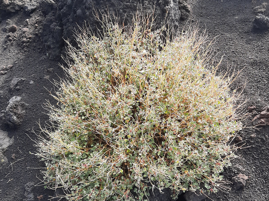 Tourist-卡塔尼亚必去景点