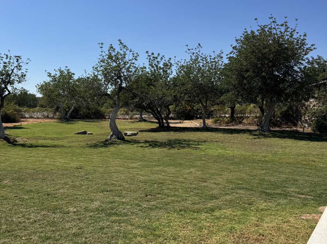 Casa Branca Turismo Rural主图