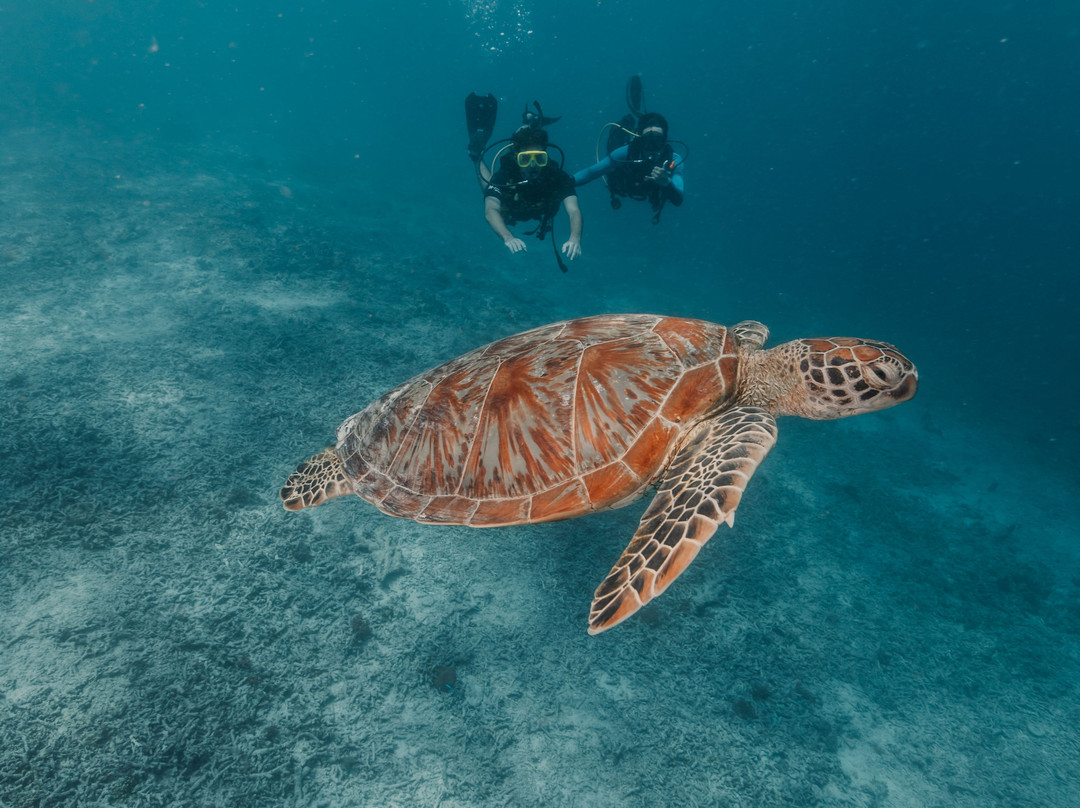 Gili Divers-吉利特拉万安必去景点