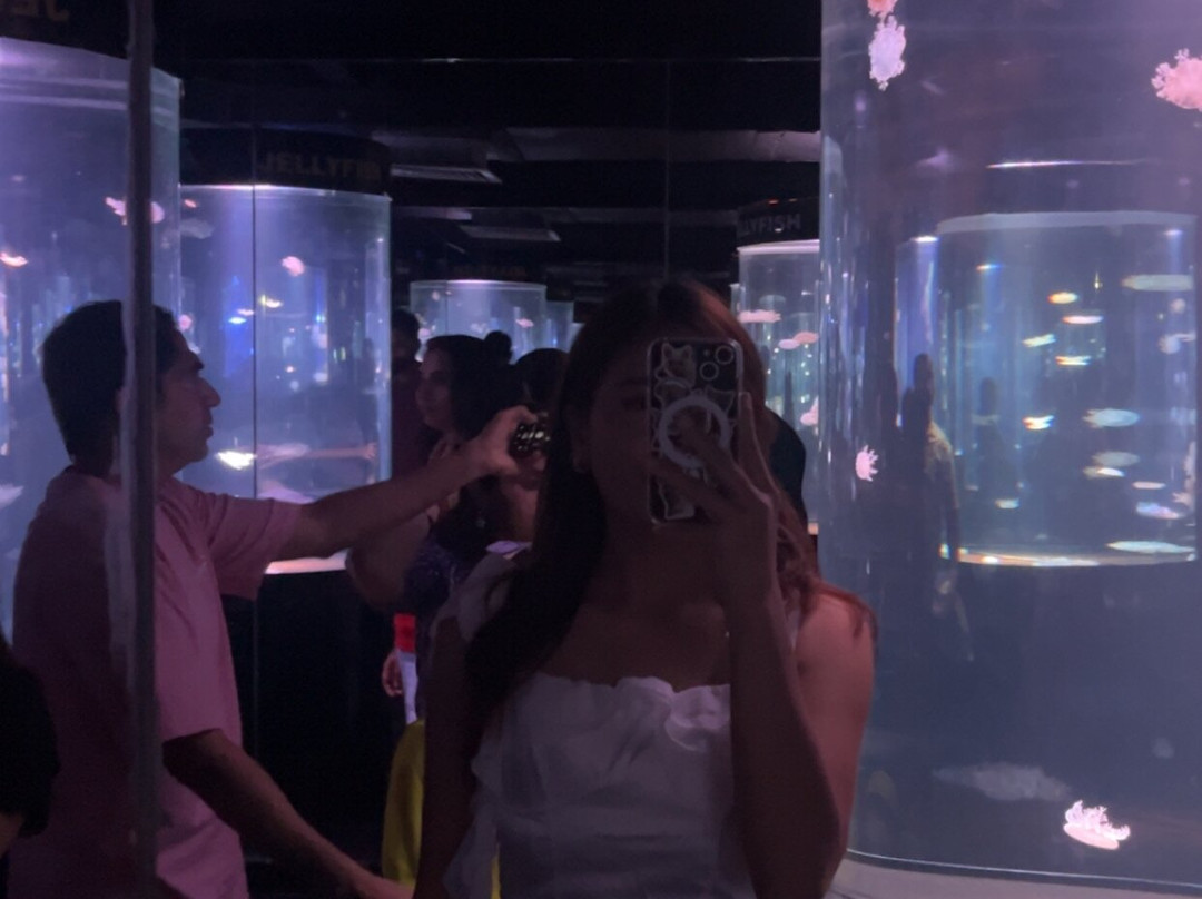 Aquarium Paradise-班加罗尔必去景点