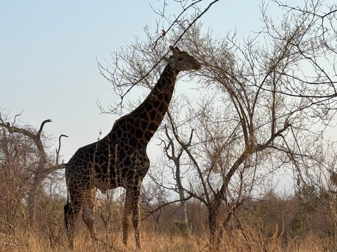 Ngalali Retreat主图