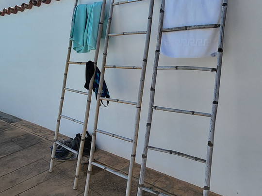 La Sirena del Viento