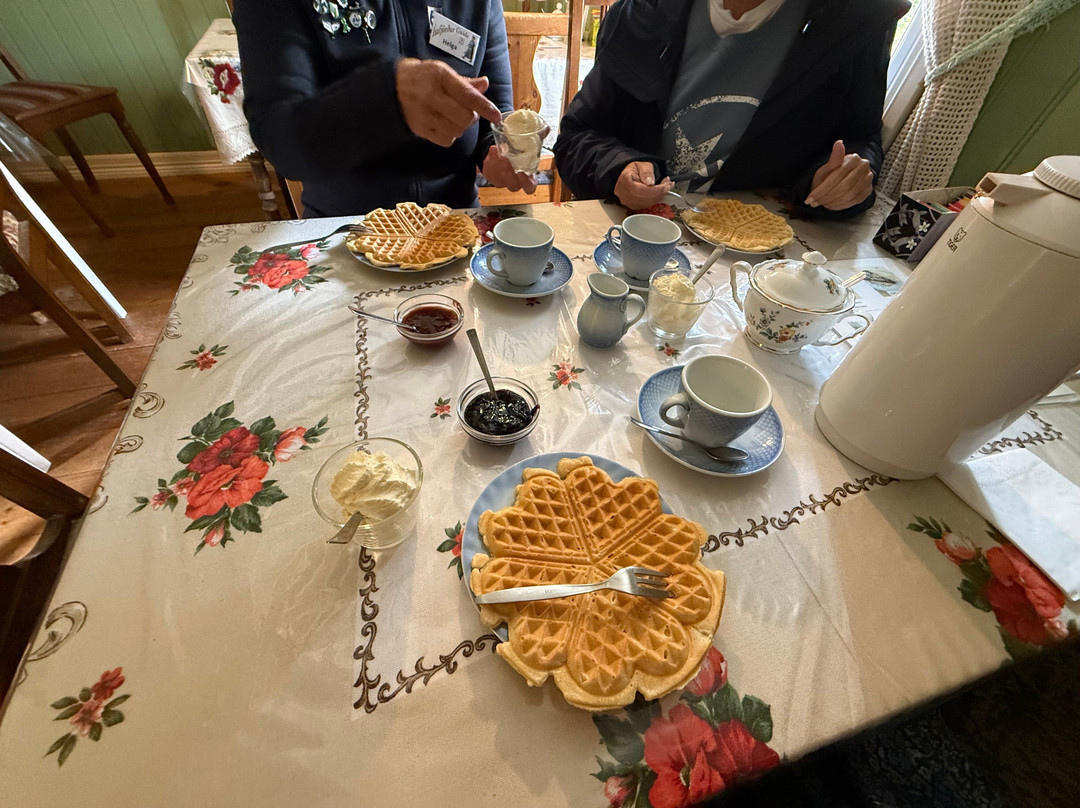 Isafjördur Guide-伊萨菲厄泽必去景点