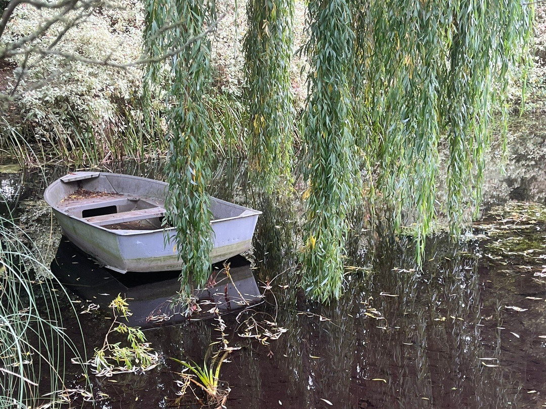 Gooderstone Water Gardens & Nature Trails-金斯林必去景点