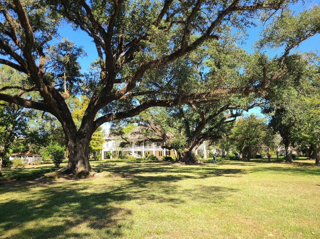 Melrose On The Cane (melrose Plantation)-Melrose必去景点