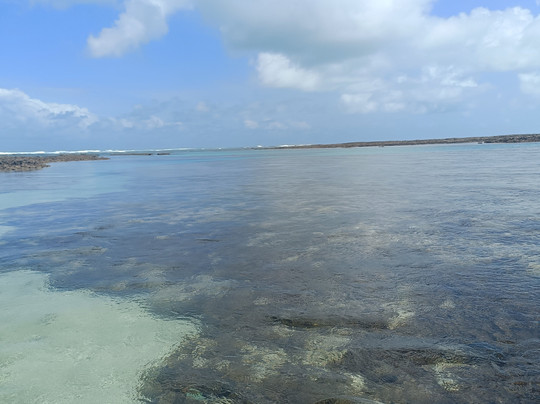 Vem Pra Maceió-Maceio必去景点
