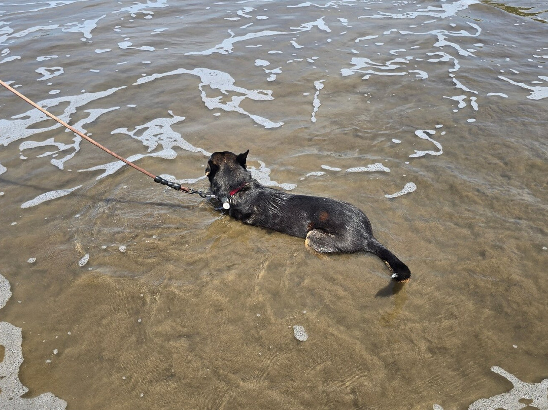 Playa Dominical-主日镇必去景点
