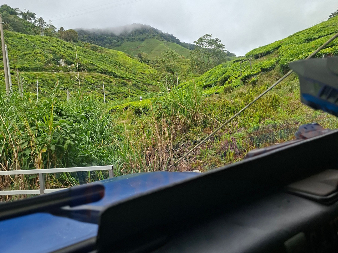 Cameron Secrets Travel and Tours Sdn Bhd-丹那拉塔必去景点