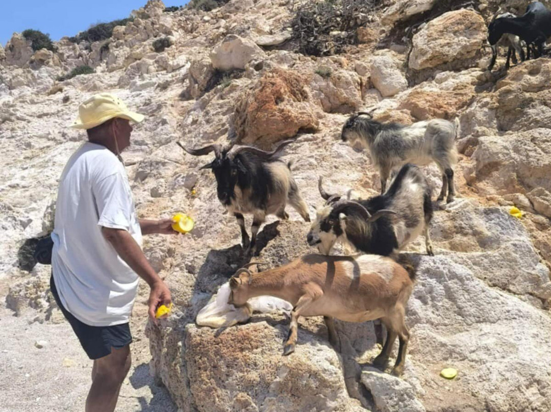 Perseas Boat-Pollonia必去景点