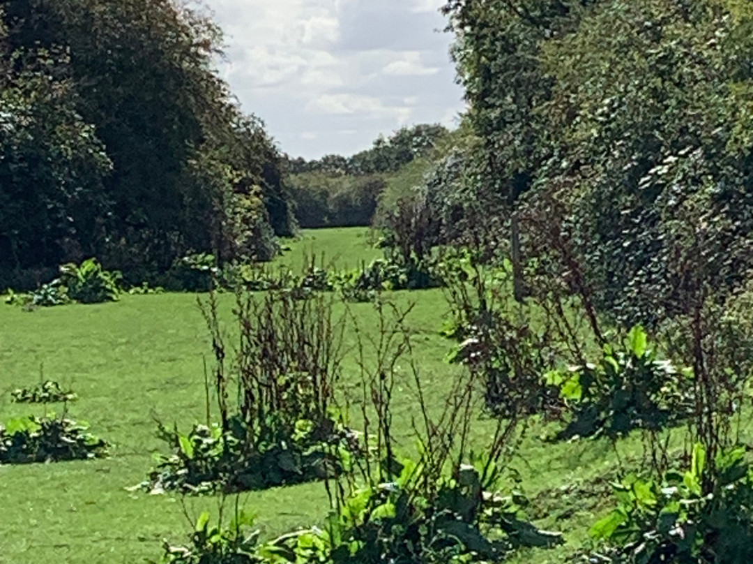Eastbrookend Country Park-Dagenham必去景点