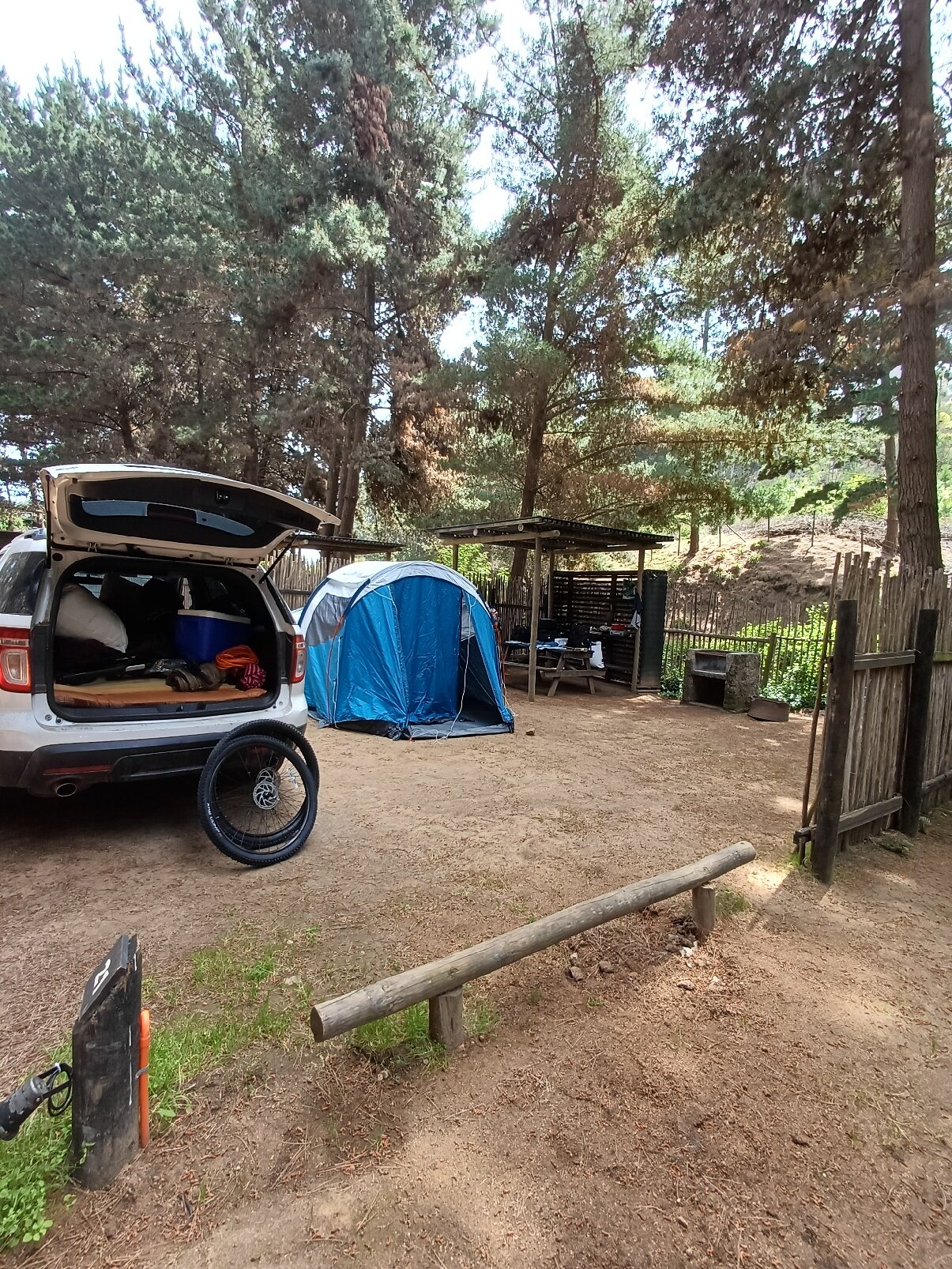 OMZ Olas de Matanzas-官方