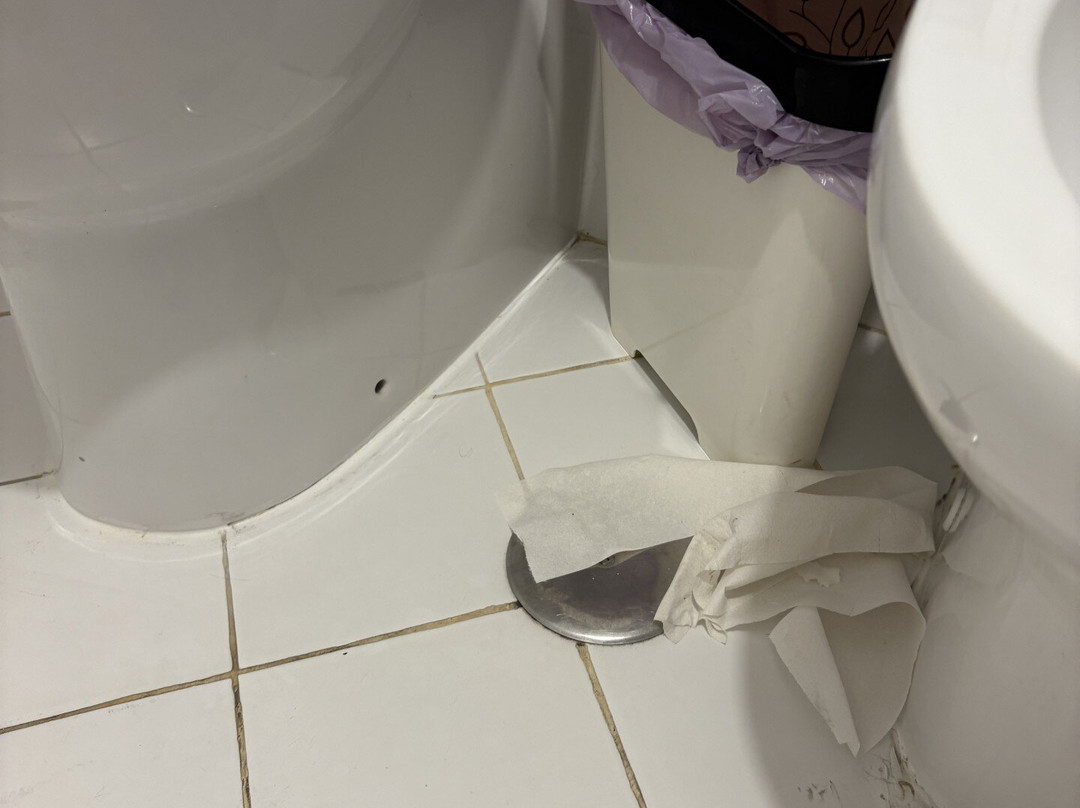 B&B Il Gattopardo Firenze主图