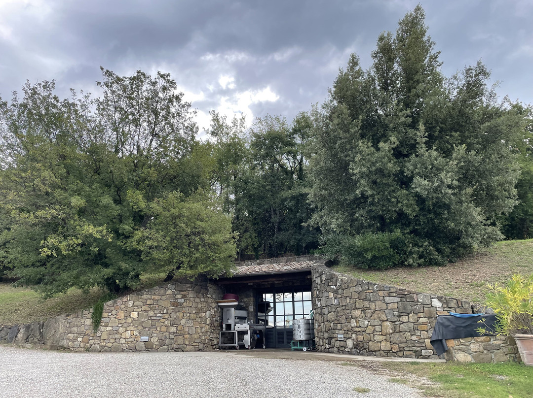 Máté Winery-蒙塔尔奇诺必去景点