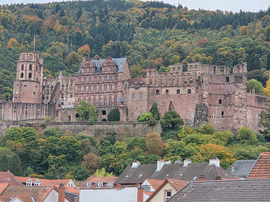 Henry Heidelberg Tours-海德尔堡必去景点