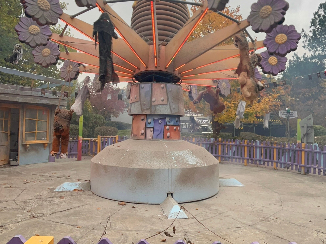 Walibi Belgium-瓦夫尔必去景点