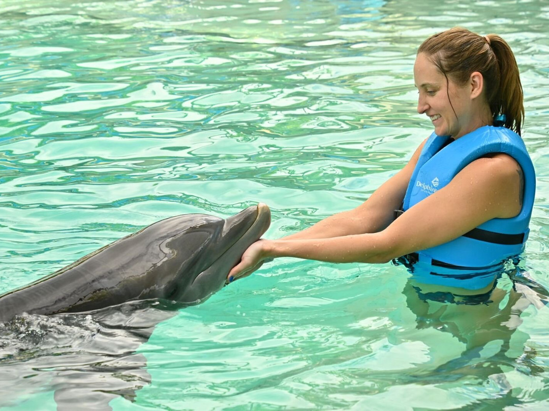 互动式水族馆-坎昆必去景点