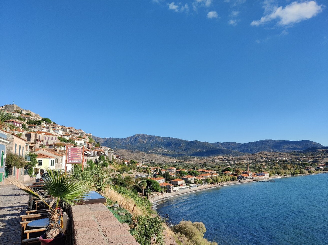 Delfinia Hotel & Bungalows主图