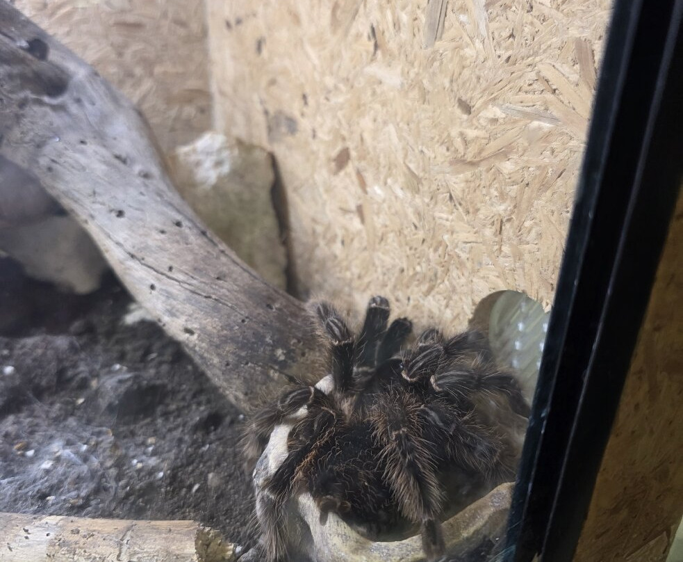 Reptisland-Melidoni必去景点