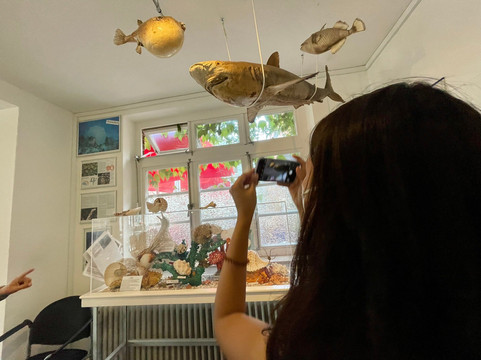 Muschelmuseum Hooksiel-Wangerland必去景点