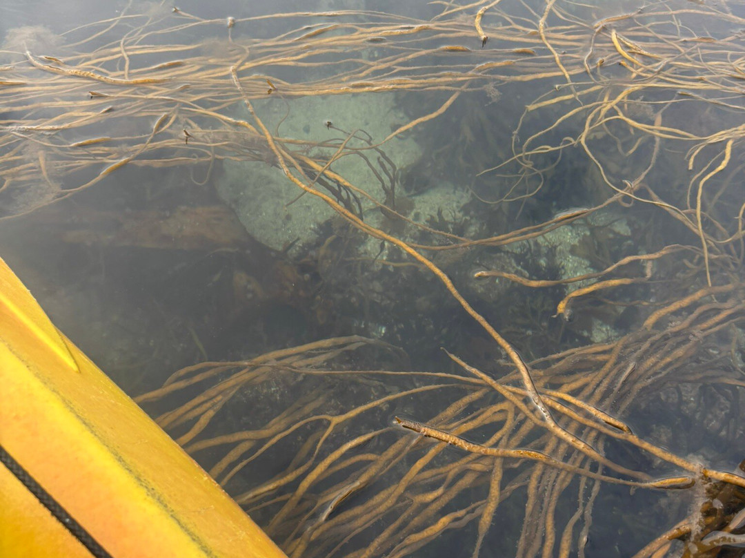 St Martin's Watersports-St Martin's必去景点