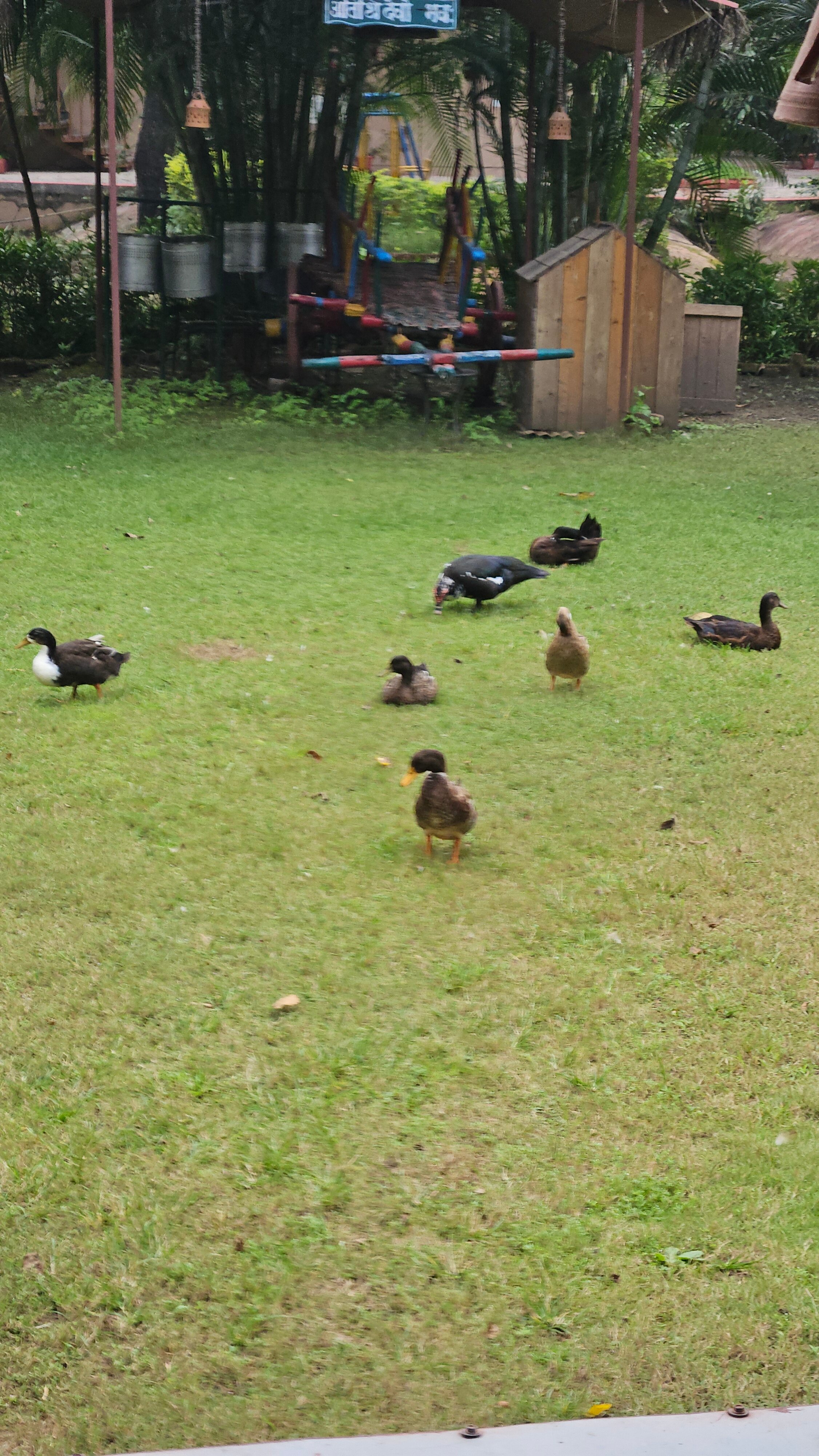 MPT Kiplings Court, Pench-官方