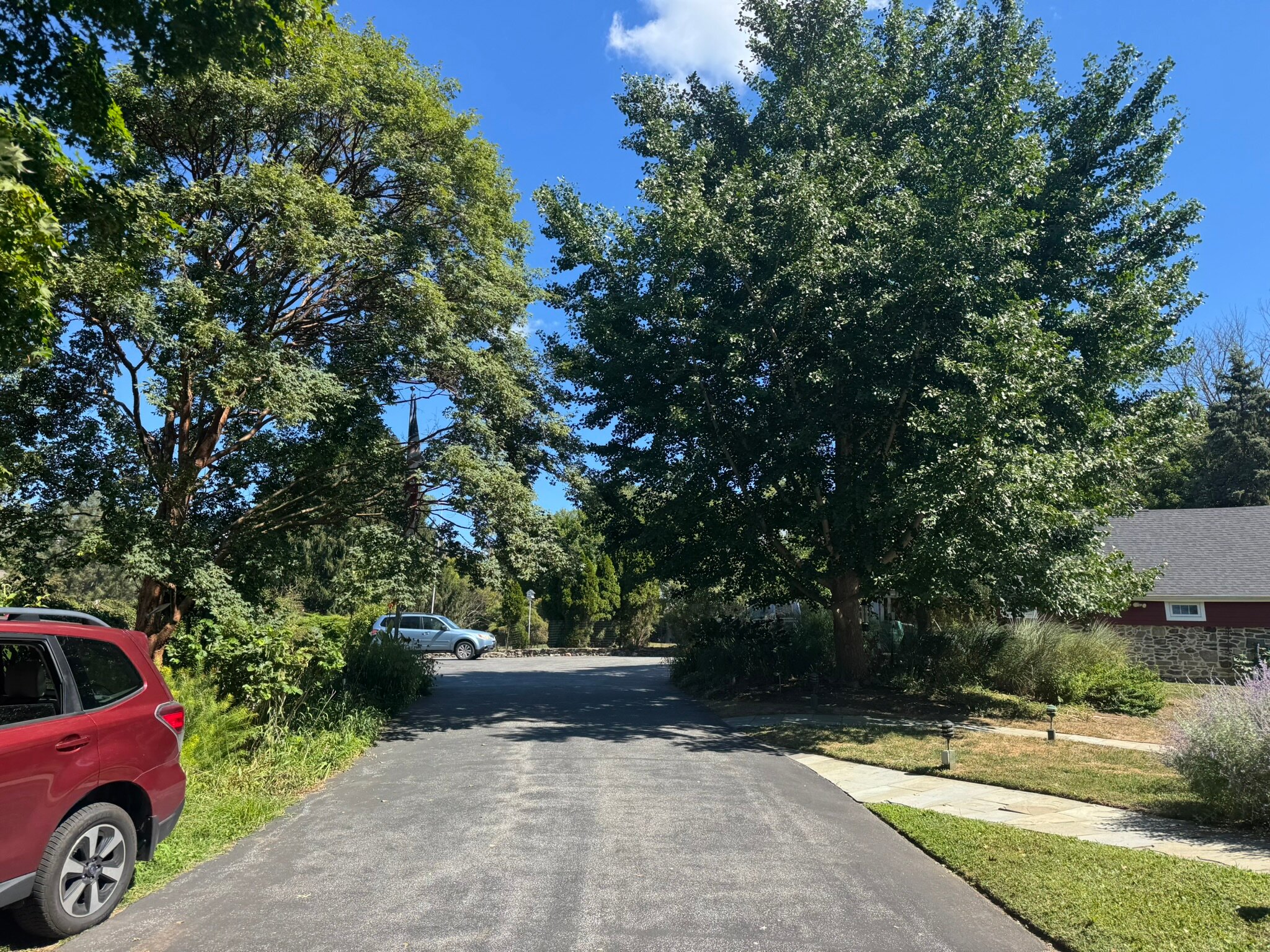 Alpenhof Bed & Breakfast-官方