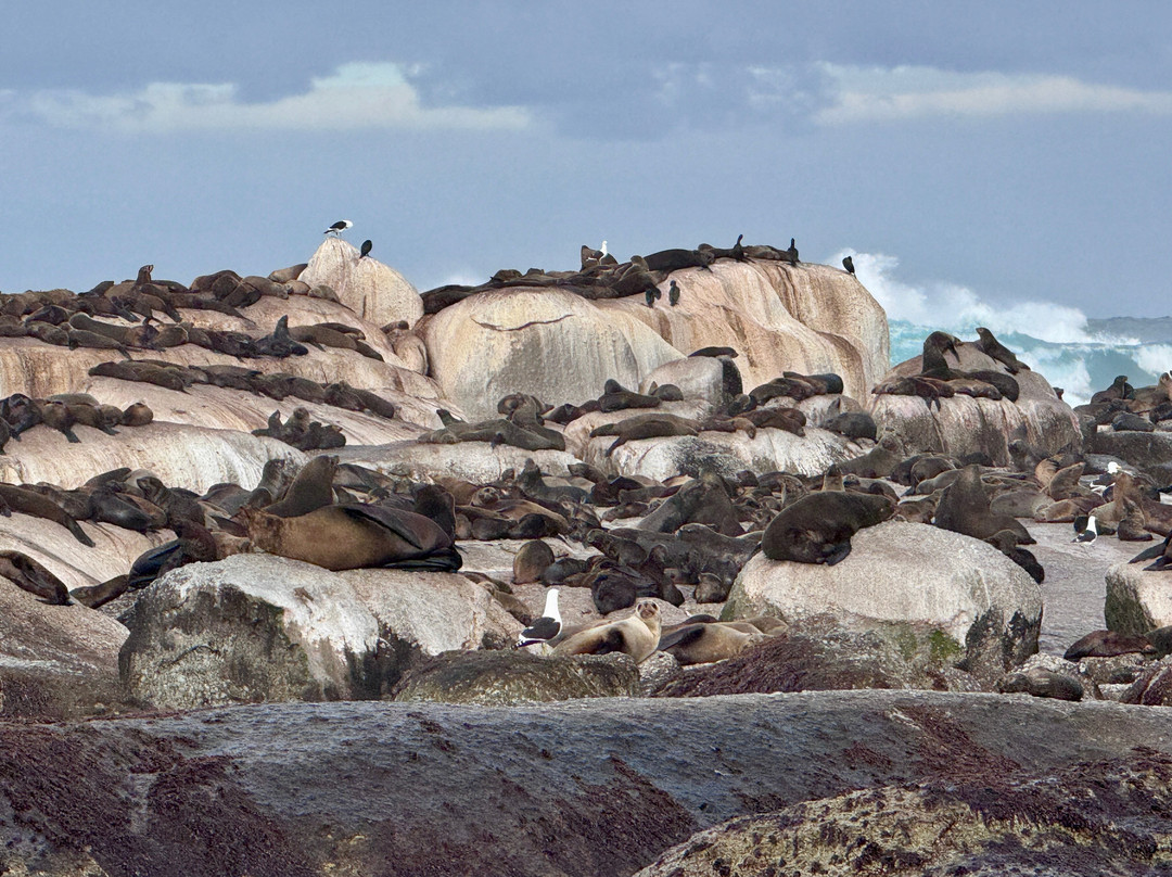 Drumbeat Charters-木湾必去景点