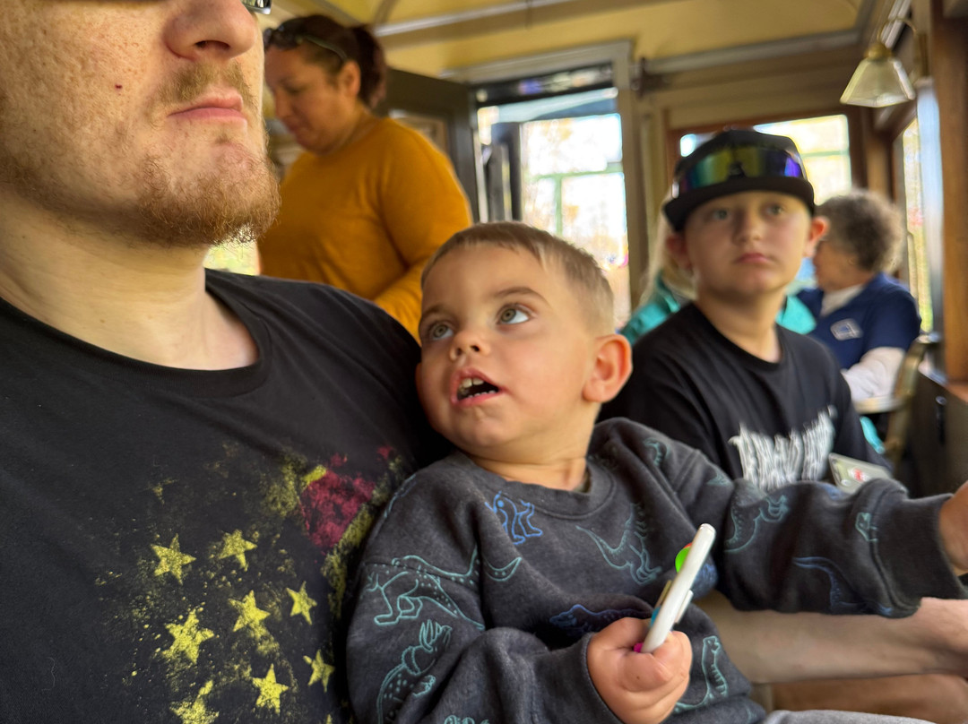 Lake Superior & Mississippi Railroad-德卢斯必去景点