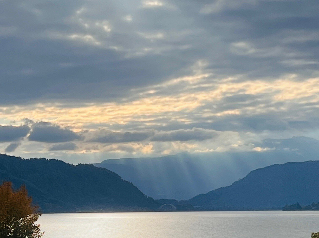 Seehotel Hoffmann主图