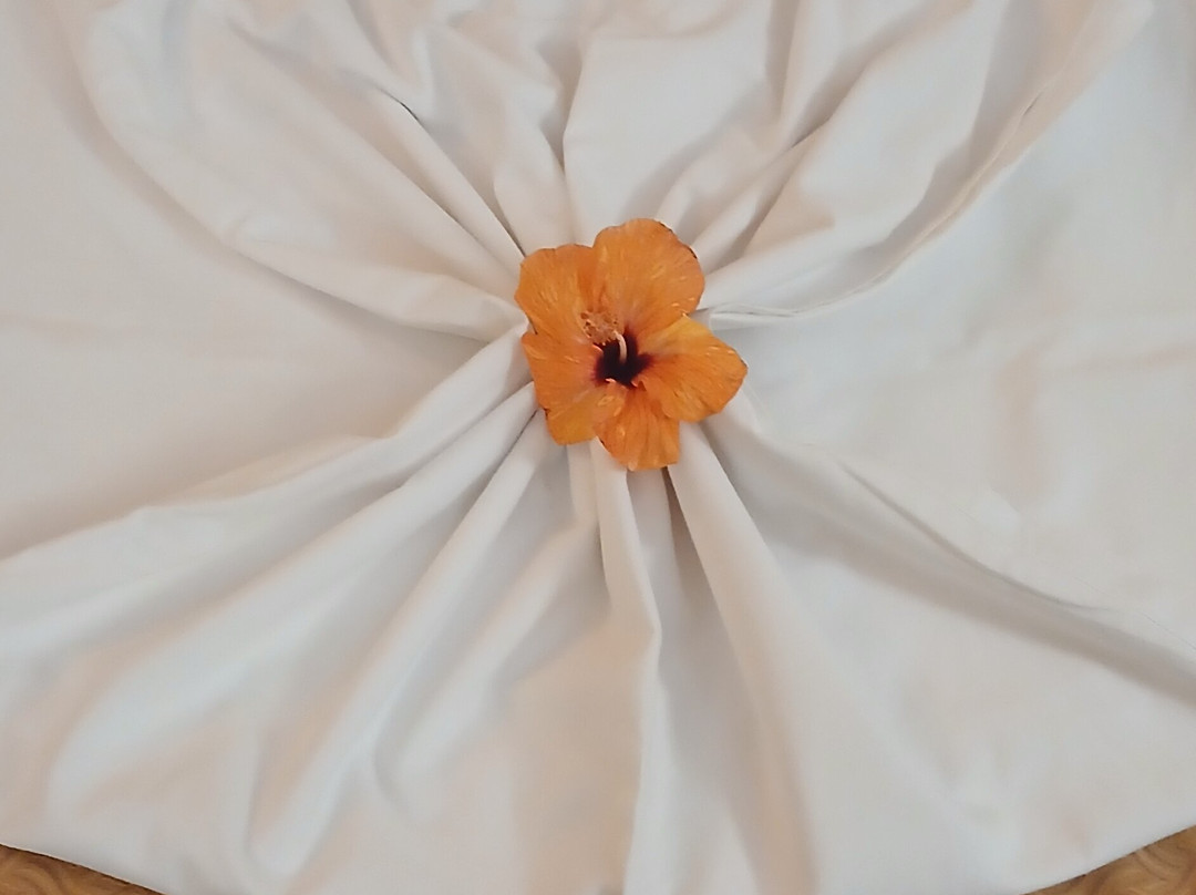 伊波罗之星萨费拉棕榈酒店主图