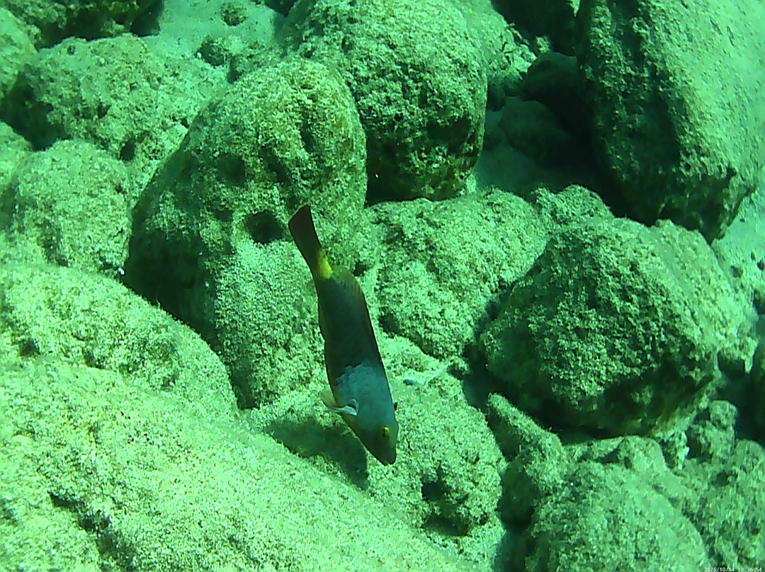 Salty Descents-Kalyves必去景点