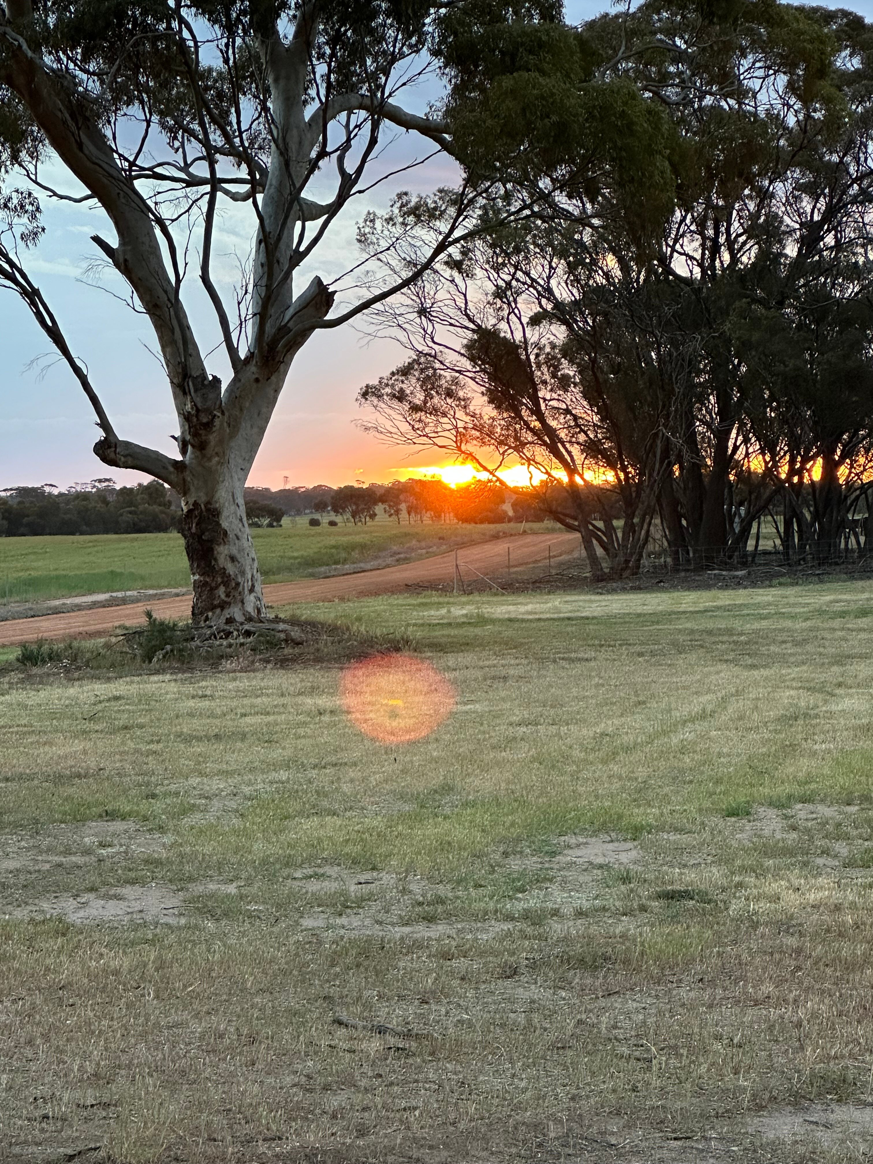 Mary's Farm Cottages-官方