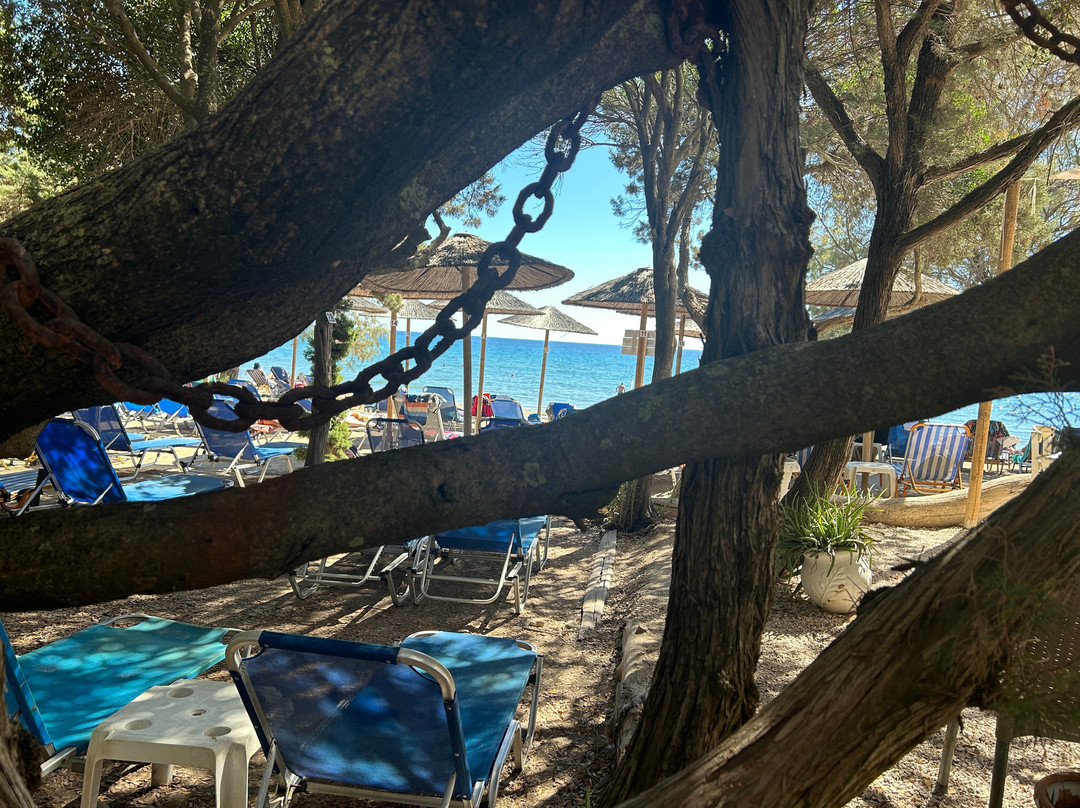 Dafni Beach-扎金索斯必去景点