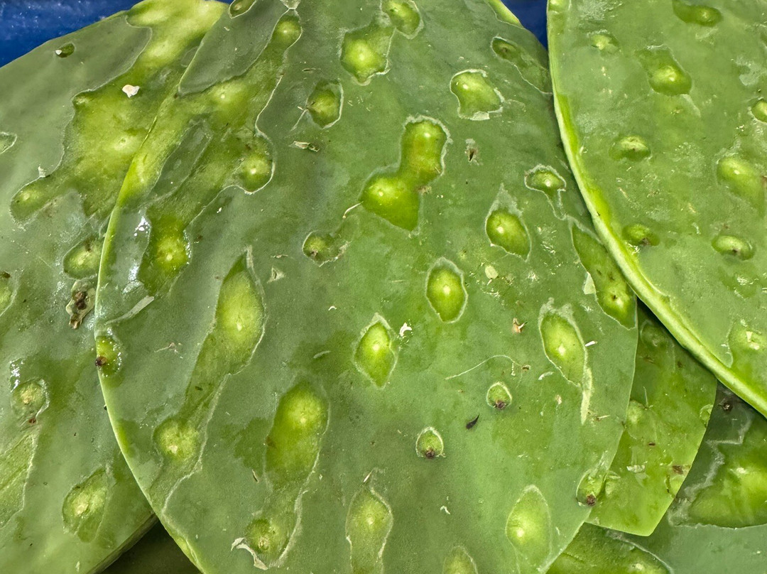 Mercado de Medellin-墨西哥城必去景点