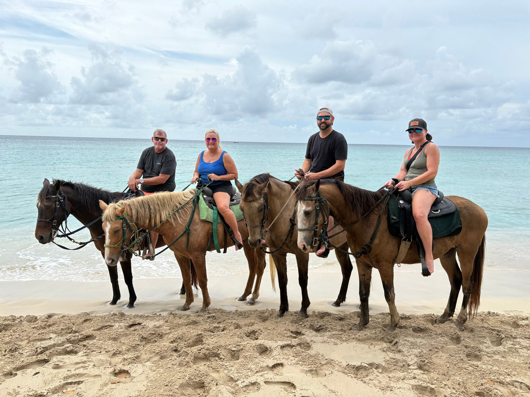 Cruzan Cowgirls-Frederiksted必去景点