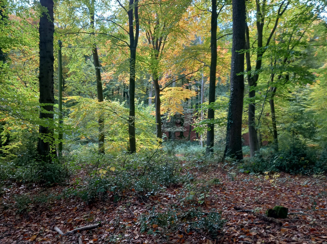 The Cherry Tree Inn-泰晤士河畔亨利必去景点