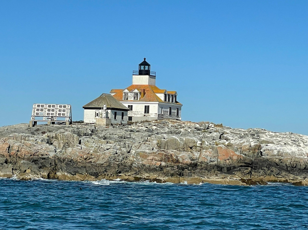 Acadian Boat Tours-巴港必去景点