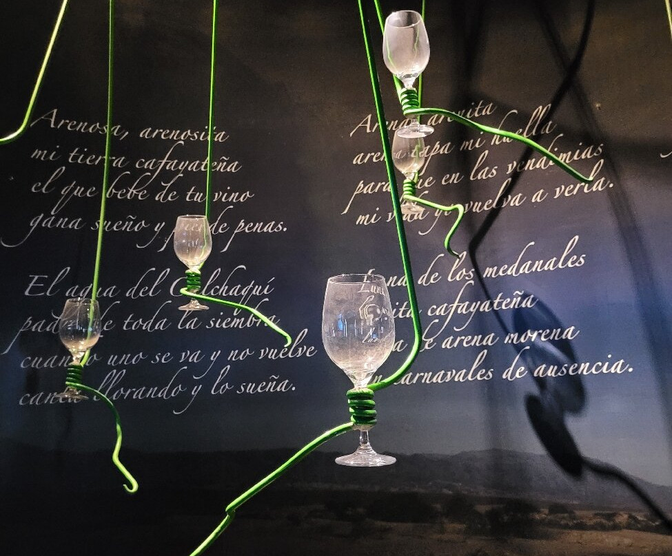 Museo de la Vid y el Vino-卡法亚特必去景点