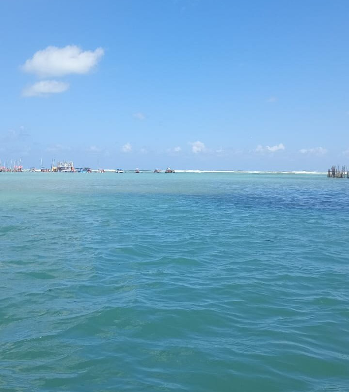 Piscinas Naturais De Pajucara-Maceio必去景点