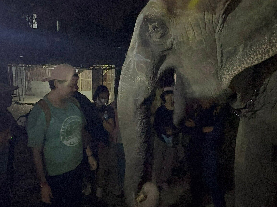 Wild Nabin Tour-奇旺国家公国必去景点