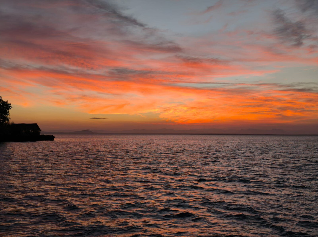 Nomadic Sails-Wasini Island必去景点