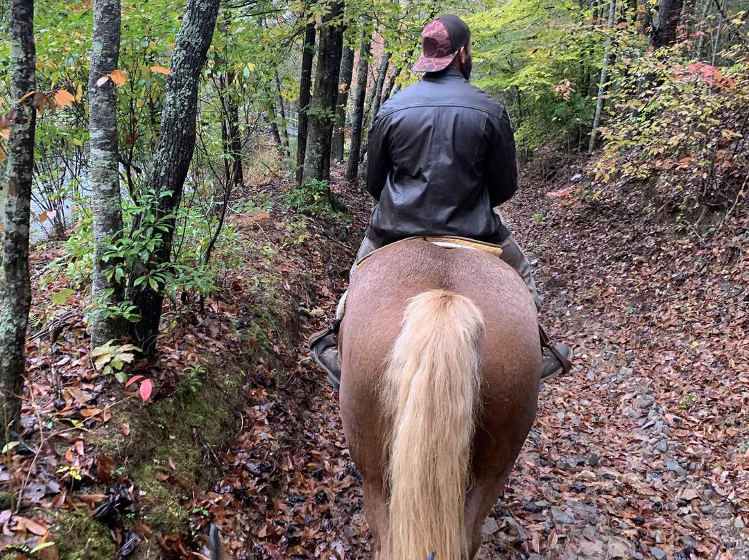 Appalachian Trail Rides-Mineral Bluff必去景点