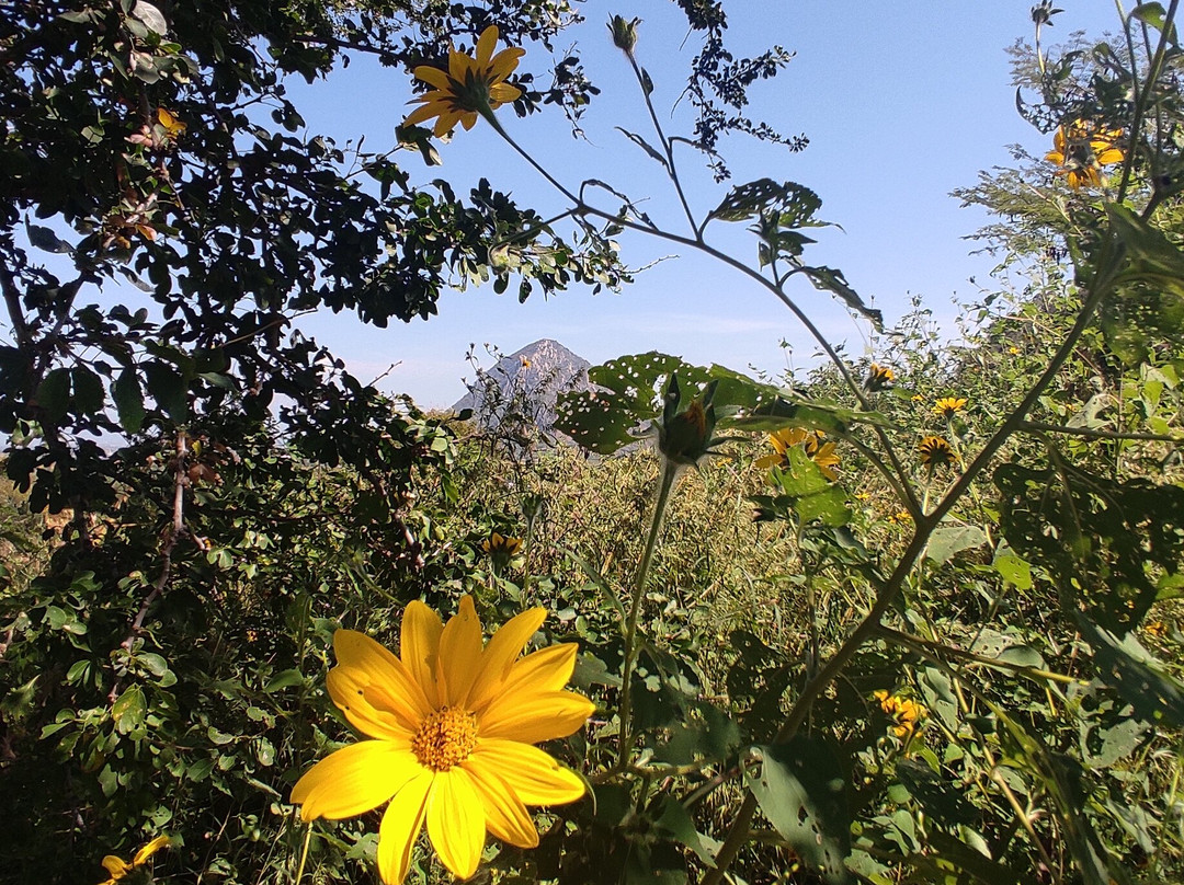 Zona Arqueológica Chalcatzingo-Jantetelco必去景点