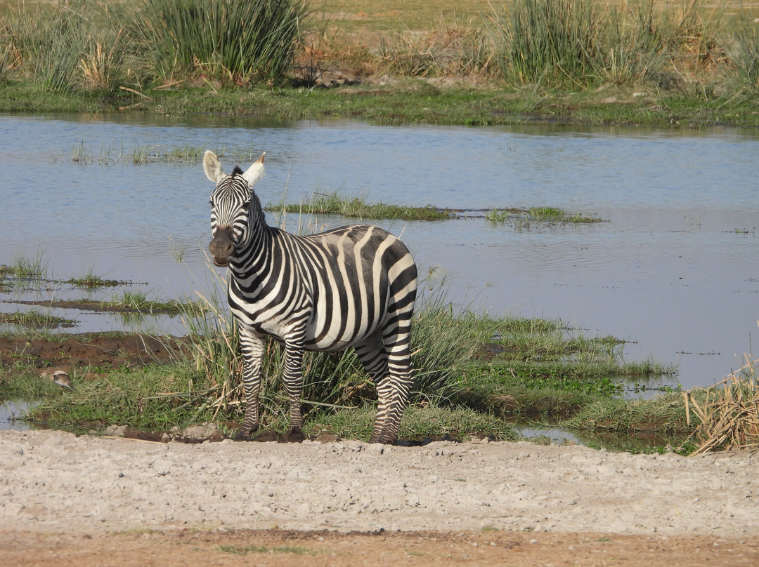 Shadows of Africa-阿鲁沙必去景点