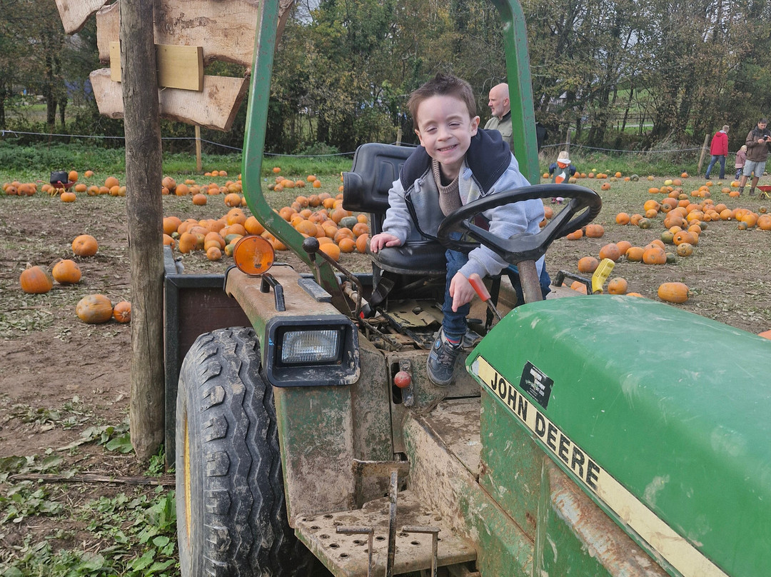Camel Creek Family Adventure Park-Wadebridge必去景点
