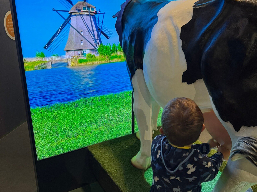 Gouda Cheese Experience-高德必去景点