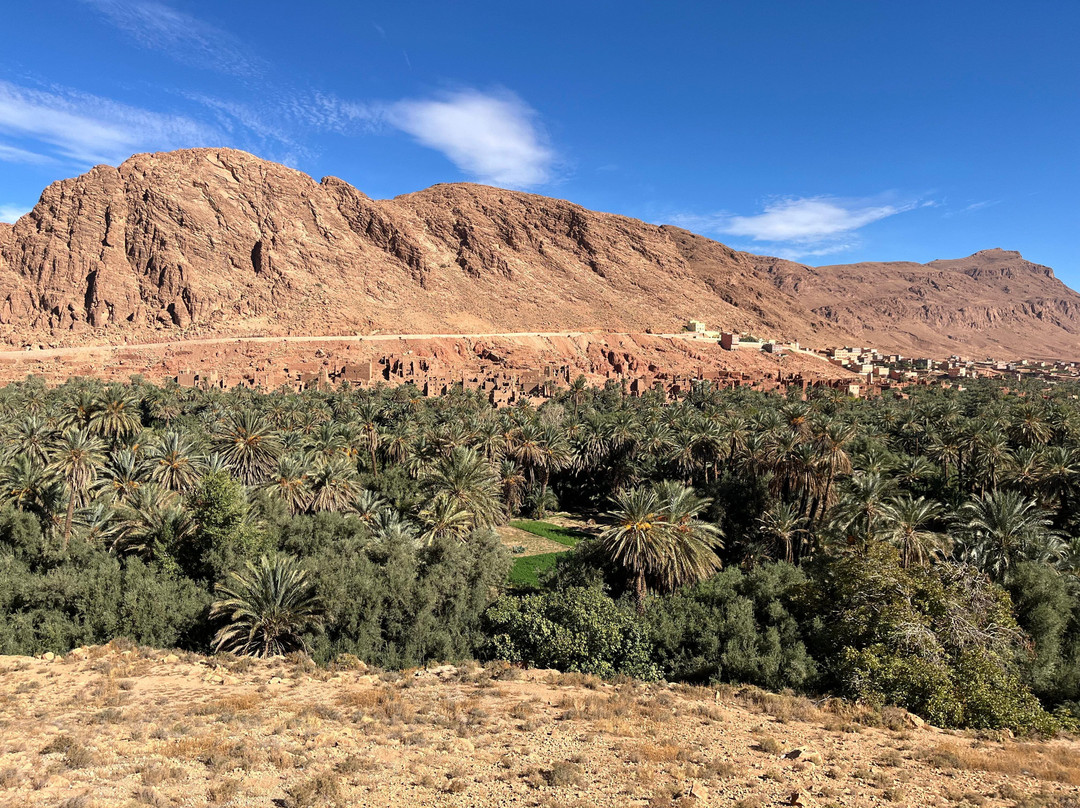 前往摩洛哥-马拉喀什必去景点